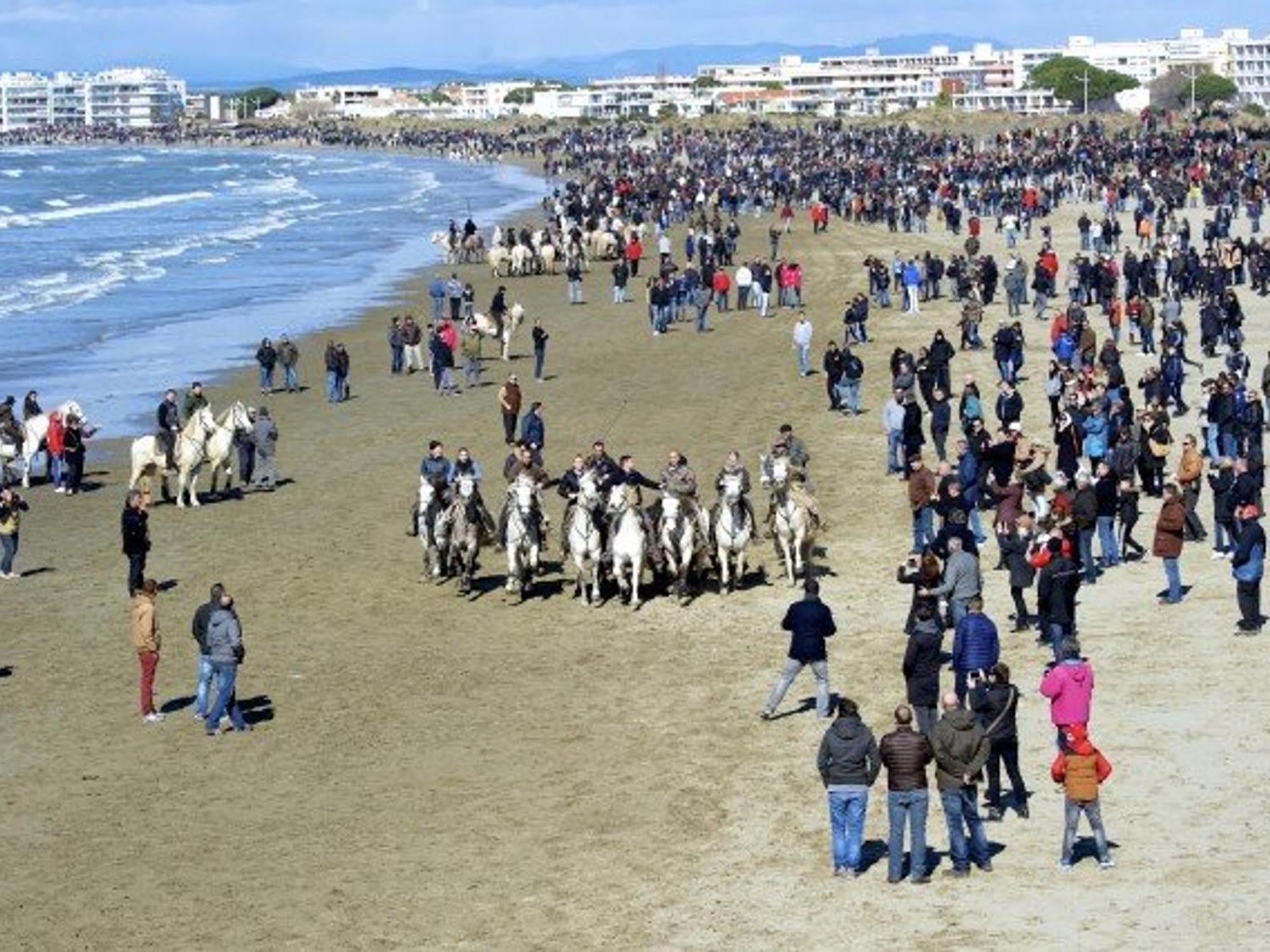 Maison P2 Mezzanine, Terrasse, Proche Plage Et Commerces, Parking Securise Au Grau-Du-Roi - Fr-1-307-142 勒格罗-迪鲁瓦 外观 照片
